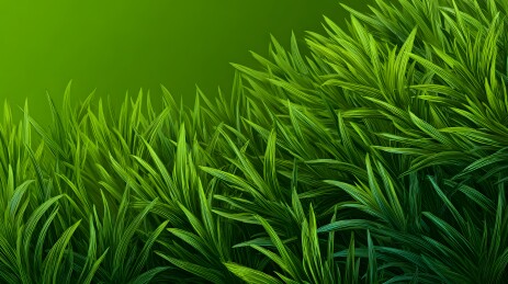 翠绿繁茂的青草背景图