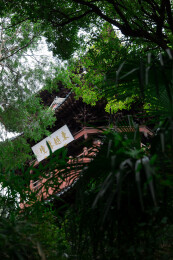 绍兴市府山公园蓬莱阁