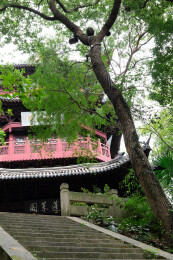 绍兴市府山公园蓬莱阁
