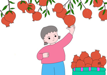 秋天女孩摘石榴