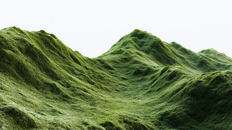 翠绿山丘起伏地貌