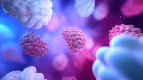 细胞群落悬浮宇宙