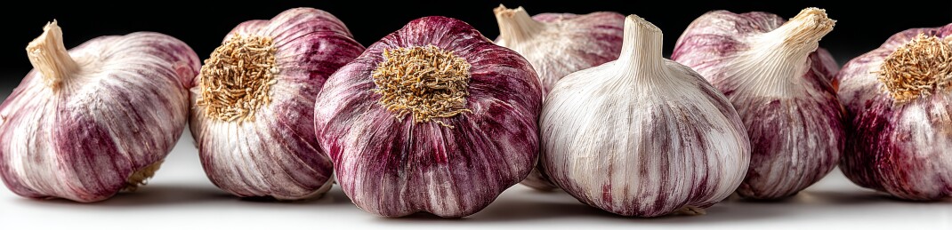 多瓣大蒜整齐排列图