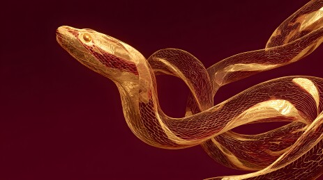 金蛇飞舞红色背景