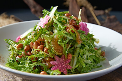 苦菊果仁心里美萝卜拌海蜇