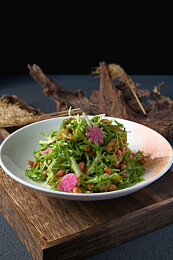 苦菊果仁心里美萝卜拌海蜇