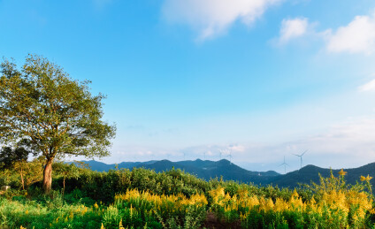 浙江宁波鄞州区横溪镇白岩山风车公路秋景