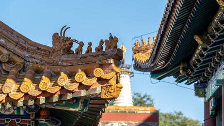 中国传统屋顶建筑脊兽特写