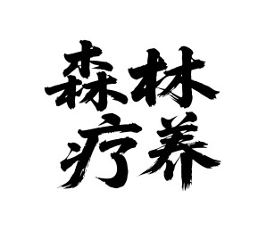 森林疗养矢量书法手写毛笔字