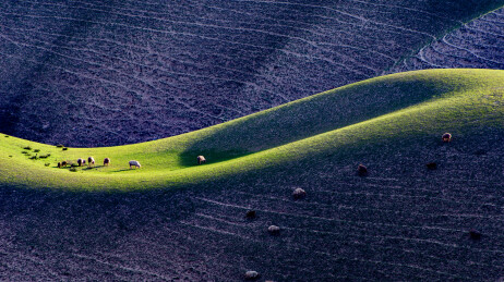 中国新疆伊犁草原风光