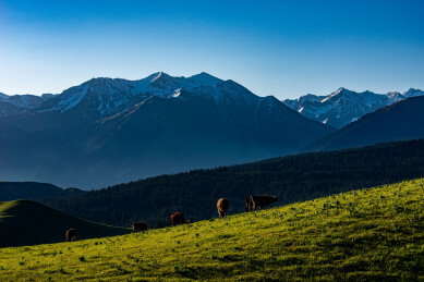 中国新疆伊犁草原风光