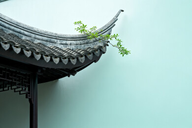 古建筑屋檐绿植点缀