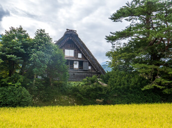 日本岐阜白川乡秋季的自然风光和特色木屋