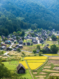 日本岐阜白川乡秋季的自然风光和特色木屋