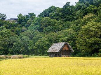 日本岐阜白川乡秋季的自然风光和特色木屋