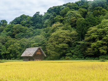 日本岐阜白川乡秋季的自然风光和特色木屋
