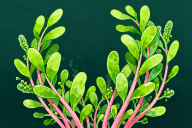 绿色植物插画清新自然