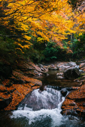 光雾山十八月潭景区