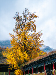 汉中留坝县张良庙