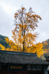 汉中留坝县张良庙