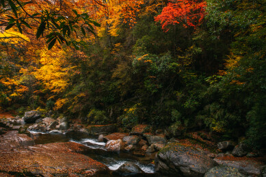 光雾山十八月潭景区