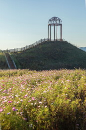 内蒙古黑山头湿地夕阳下的木栈道与观景台