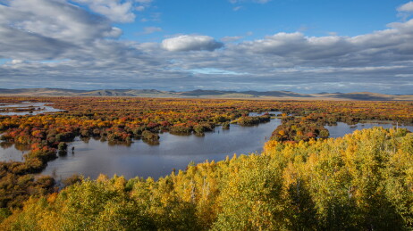 中国内蒙古呼伦贝尔黑山头湿地多彩斑斓秋色