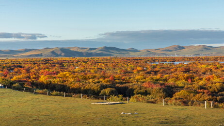 中国内蒙古呼伦贝尔黑山头湿地多彩斑斓秋色