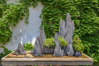 中国江苏省留园景区内园林景观