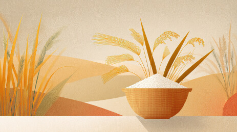 丰收的稻米秋天金色主题插画