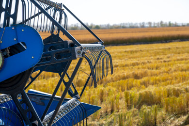 联合收割机在金黄色稻田中作业的特写