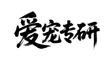 爱宠专研矢量书法手写毛笔字