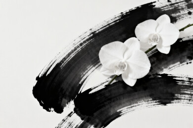 黑白水墨兰花艺术画