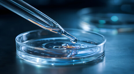 实验室滴管向培养皿滴液