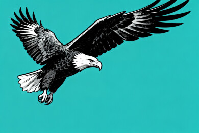 展翅翱翔的鹰图案