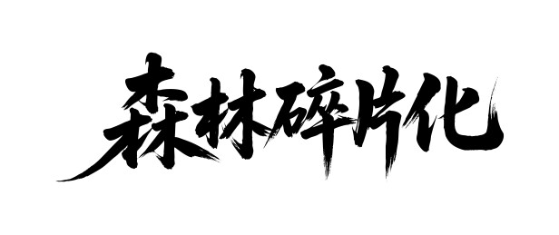森林碎片化矢量书法手写毛笔字