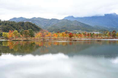 中国武汉罗田河西畈村水上红叶景区自然风光