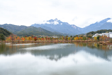中国武汉罗田河西畈村水上红叶景区自然风光