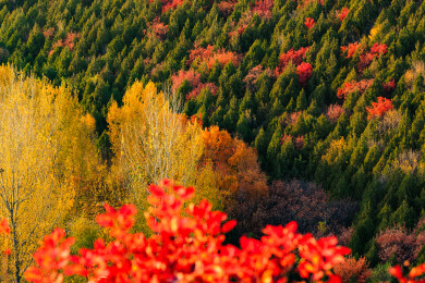 北京顺义舞彩潜山秋天红叶风光