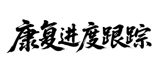 康复进度跟踪矢量书法手写毛笔字