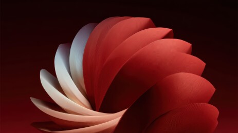 渐变花瓣状立体艺术造型