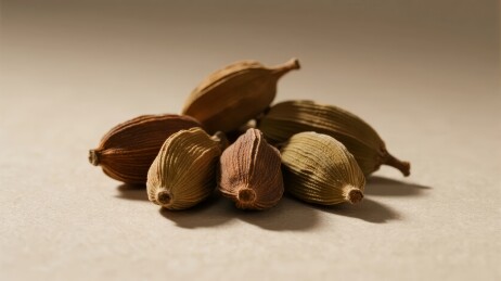 干燥豆蔻果实特写