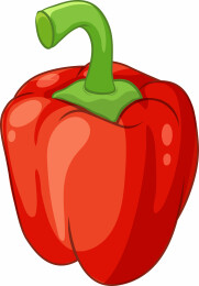 红辣椒矢量插画