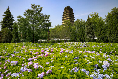 西安小雁塔