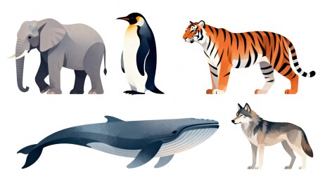 多种动物插画展示