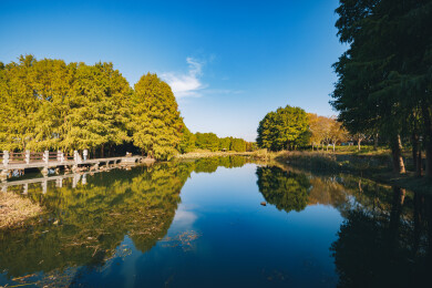江苏省苏州市 虎丘湿地公园的秋日风光图景