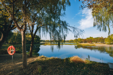 江苏省苏州市 虎丘湿地公园的秋日风光图景