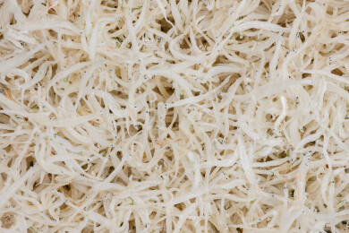 海鲜干货小银鱼