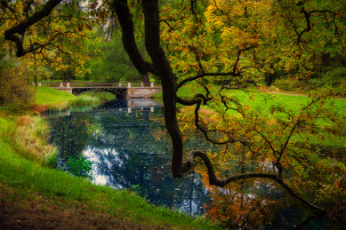 俄罗斯圣彼得堡叶卡捷琳娜宫及花园风景