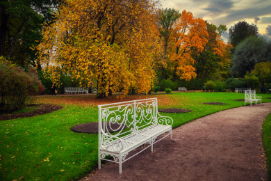 俄罗斯圣彼得堡叶卡捷琳娜宫皇家园林风景